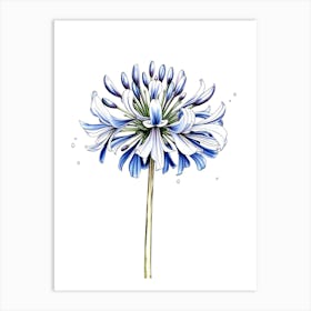 Blue Geranium Art Print