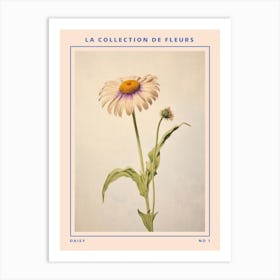 Daisy French Flower Botanical Poster Art Print