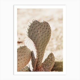 Heart Shaped Cactus Art Print