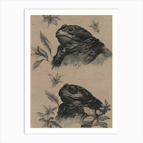 Frogs Art Print