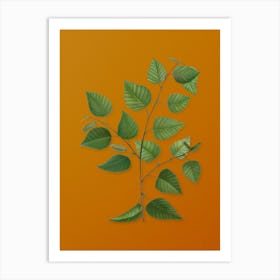 Vintage Paper Birch Botanical on Sunset Orange n.0592 Art Print