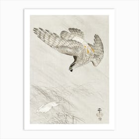 Hawk Hunting A Hare (1900 1910), Ohara Koson Art Print