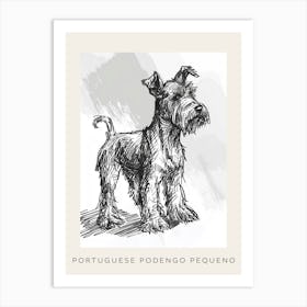 Portuguese Podengo Pequeno Dog Line Sketch 1 Poster Art Print