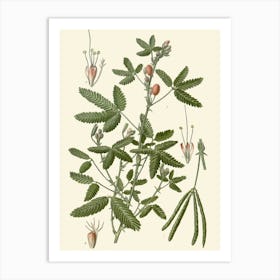 Sassafras 6 Art Print