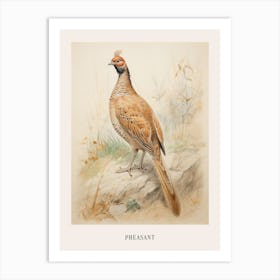 Vintage Bird Drawing Pheasant 3 Poster Art Print