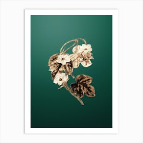 Gold Botanical Aiton's Ipomoea Flower on Dark Spring Green n.4148 Art Print