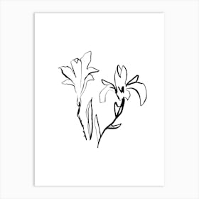 Lily Of The Valley Art Print