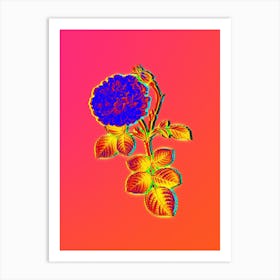 Neon White Rose of York Botanical in Hot Pink and Electric Blue n.0123 Art Print