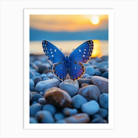 Blue Butterfly On Rocks At Sunset Art Print