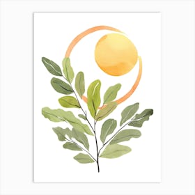 Sun And Leaf 1 Art Print