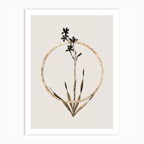Gold Ring Bugle Lily Glitter Botanical Illustration n.0125 Art Print