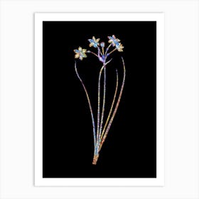 Stained Glass Rush Daffodil Mosaic Botanical Illustration on Black n.0017 Art Print