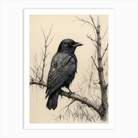 Crow Canvas Print Art Print