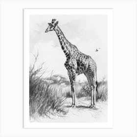 Pencil Portrait Of A Giraffe Standing 1 Art Print