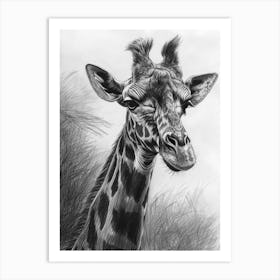 Giraffe In The Grass Pencil Drawing 9 Art Print