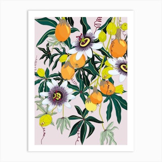 Blossoming Passionfruit Flowers Art Print