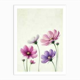 Cosmos Flowers Art Print