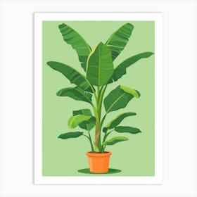 Banana Plant 8 Art Print