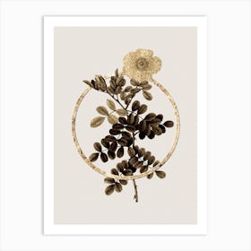 Gold Ring Macartney Rose Glitter Botanical Illustration n.0193 Art Print