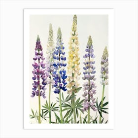 Lupines 2 Art Print