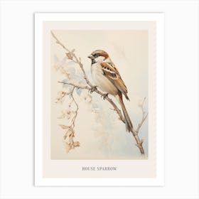 Vintage Bird Drawing House Sparrow 2 Poster Art Print