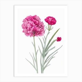 Carnation Floral Quentin Blake Inspired Illustration 1 Flower Art Print