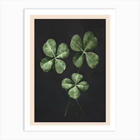 Four -Leaf Clover Art Art Print