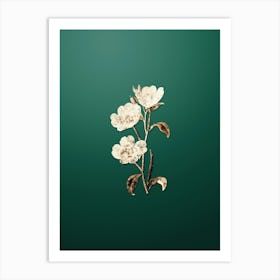 Gold Botanical Pink Oenothera Flower on Dark Spring Green n.3989 Art Print