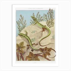 Lizard From The Animal In The Decoration (1897), Maurice Pillard Verneuil Art Print