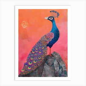 Colourful Peacock On A Rock 1 Art Print