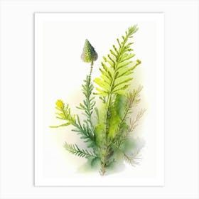 Club Moss Wildflower Watercolour 2 Art Print