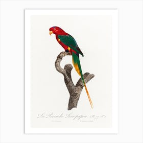 Papuan Lorikeet From Natural History Of Parrots, Francois Levaillant Art Print