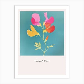 Sweet Pea 1 Square Flower Illustration Poster Art Print
