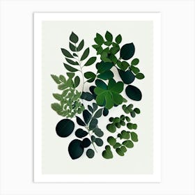 Thyme Leaf Vibrant Inspired 3 Art Print