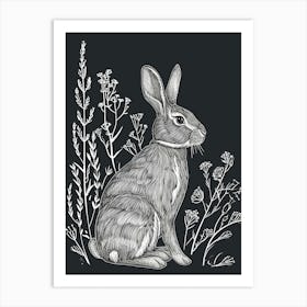 Argente Rabbit Minimalist Illustration 3 Art Print