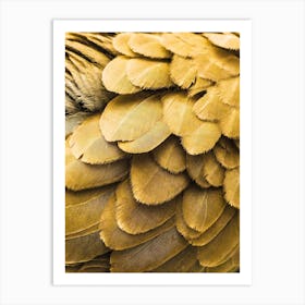 Golden Bird Feathers Art Print