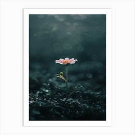 Flower In The Dark 57 Art Print