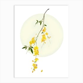 Chinese Wisteria Flower Art Print