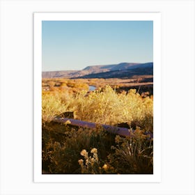 New Mexico Road Trip II on Film Art Print