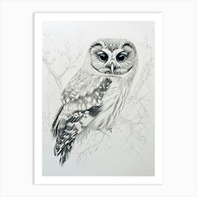 Northern Saw Whet Owl Marker Drawing 4 Art Print