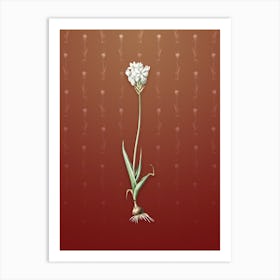 Vintage Chincherinchee Botanical on Falu Red Pattern n.0578 Art Print