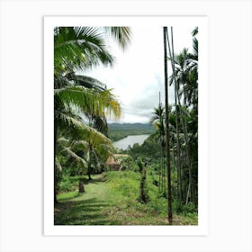 Palm Trees In The Jungle Art Print