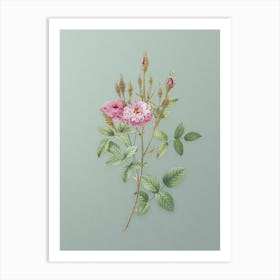 Vintage Mossy Pompon Rose Botanical Art on Mint Green n.0671 Art Print