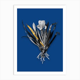 Vintage Crimean Iris Black and White Gold Leaf Floral Art on Midnight Blue n.0260 Art Print