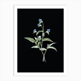 Vintage Blue Spiderwort Botanical Illustration on Solid Black n.0695 Art Print