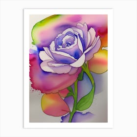 Rose31st Art Print