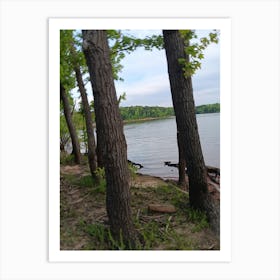 View Of A Lake Art Print