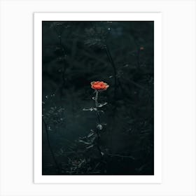 Rose In The Dark 33 Art Print