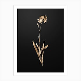 Gold Botanical Corn Lily on Wrought Iron Black n.2976 Art Print
