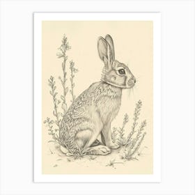 Harlequin Rabbit Drawing 4 Art Print